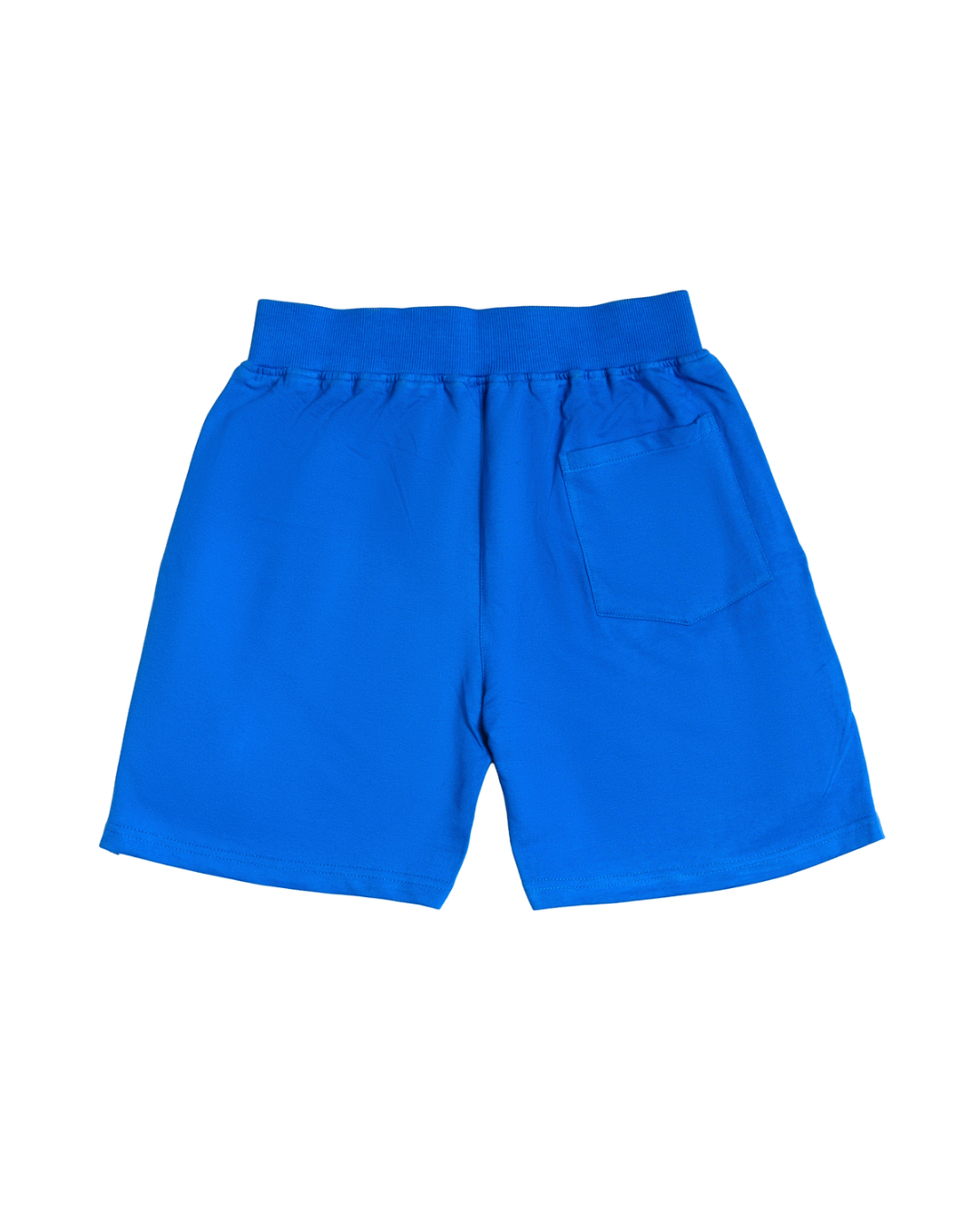 Blue Logo shorts