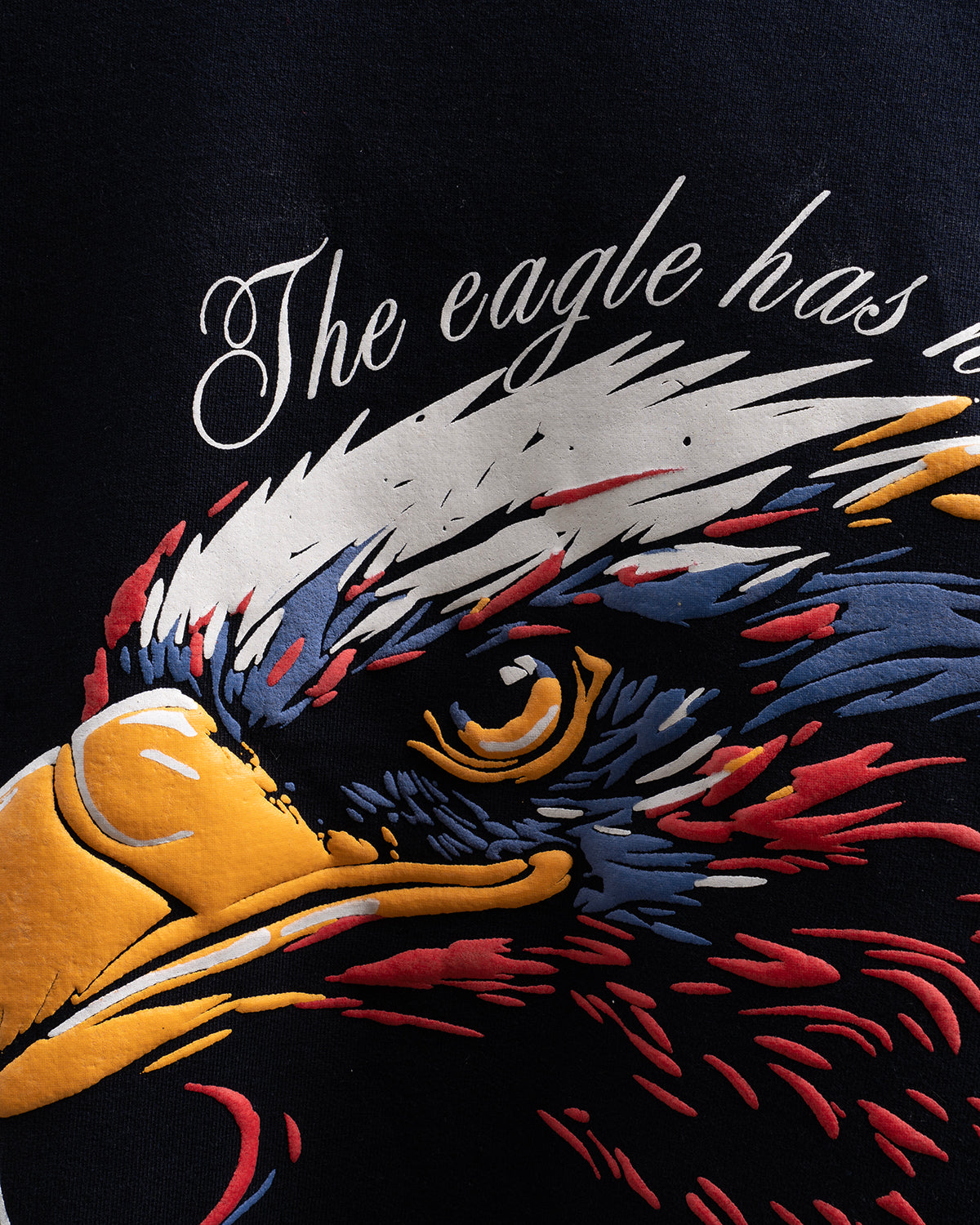 American Eagle navy