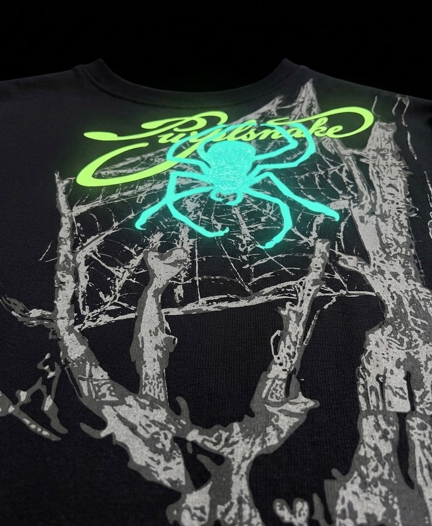 Web of Echoes