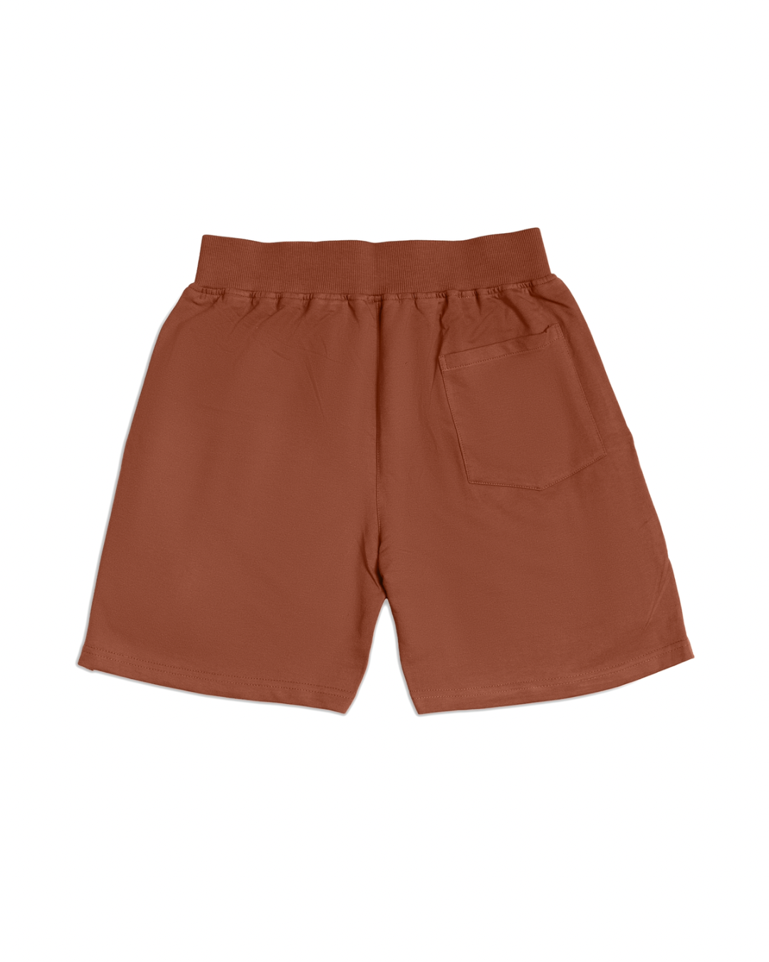Brown Logo shorts