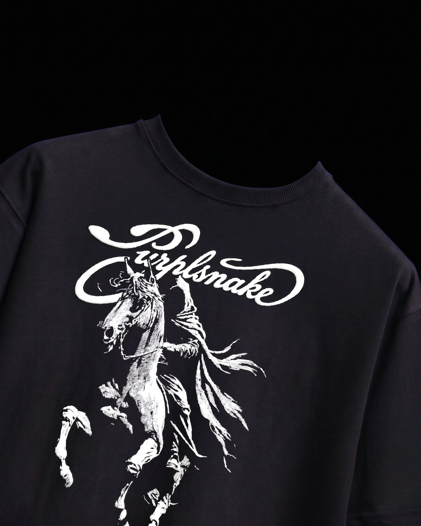 Midnight Cavalier